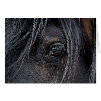 Sinti und Roma Vision II