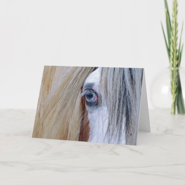 Sinti und Roma-Visionsgrußkarte Karte (Vorderseite)