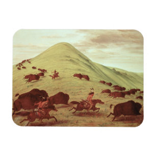 Sioux-amerikanischer Ureinwohner, der Büffel, 183 Magnet