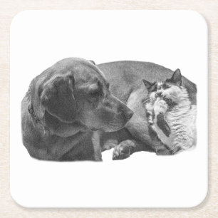 Sip Break mit Pals Rechteckiger Pappuntersetzer