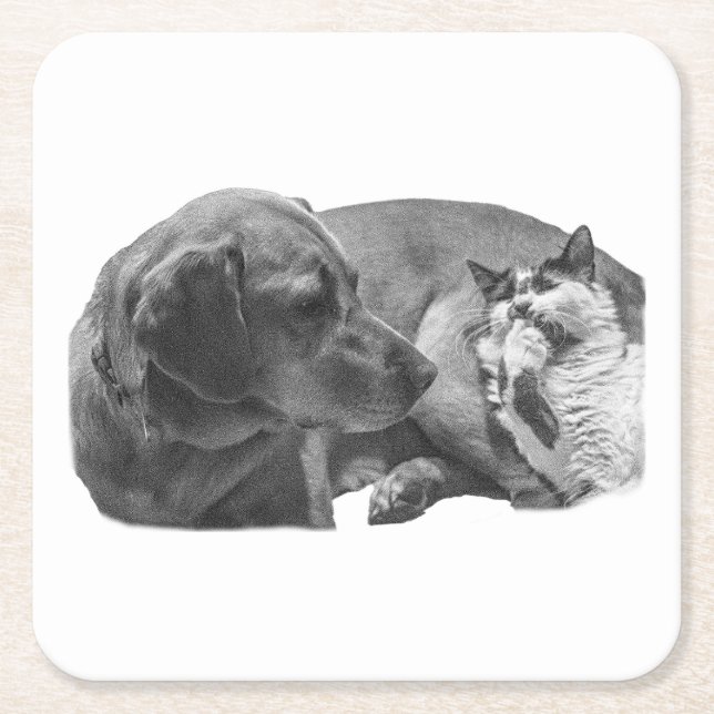 Sip Break mit Pals Rechteckiger Pappuntersetzer (Vorderseite)