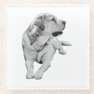 Sip Break, Steady Friend Glasuntersetzer