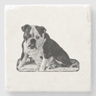 Sip Break, Tiny Spark Steinuntersetzer