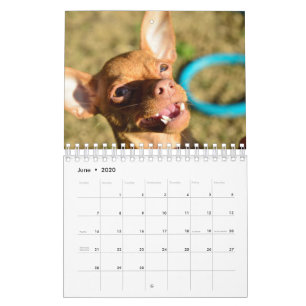 Sir Bardsley 2020 Wall Calendar Kalender