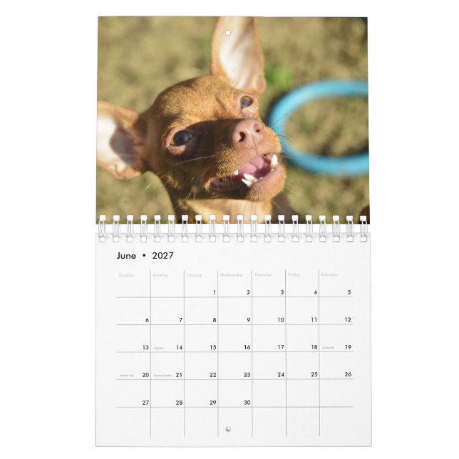 Sir Bardsley 2020 Wall Calendar Kalender (Jun 2027)