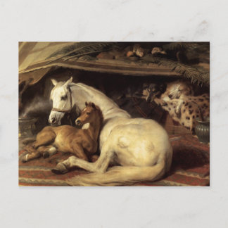 Sir Edwin Henry Landseer | Der arabische Zelt Postkarte