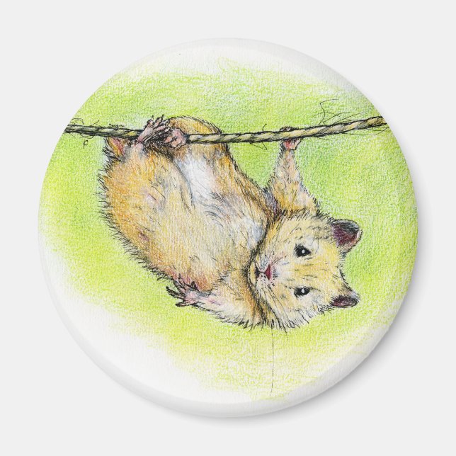 Sir Ham Magnet (Vorne)