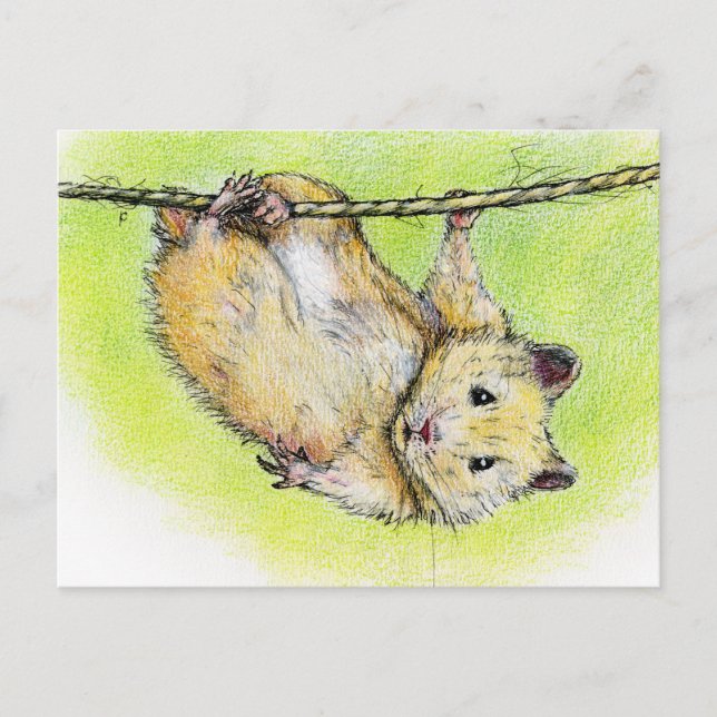 Sir Ham Postkarte (Vorderseite)