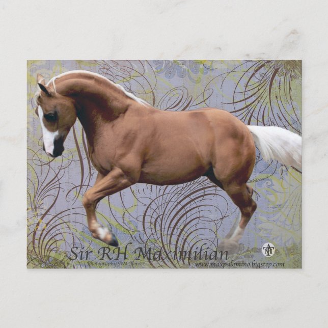 SirRHMaximilian2 Postkarte (Vorderseite)