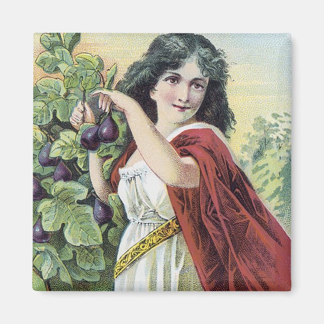 Sirup Figs Natures Pleasant Laxativ Magnet (Vorne)