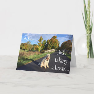 **SIS**, DAS EINEN SCHLAG GENOMMEN HAT, UM ZU SAGE KARTE