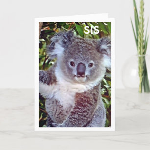 SIS DIESE KOALA BIRTHDAY CARD IST NUR FÜR "SIE"! KARTE