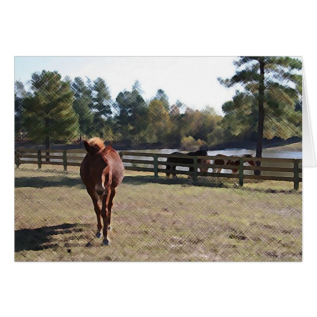 Sissy Mule Card (Vorderseite (Horizontal))