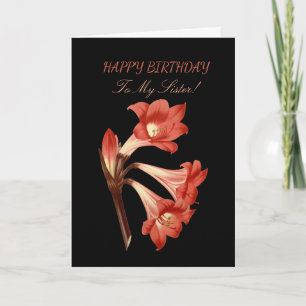 Sister Birthday Coral Belladonna Lily Karte