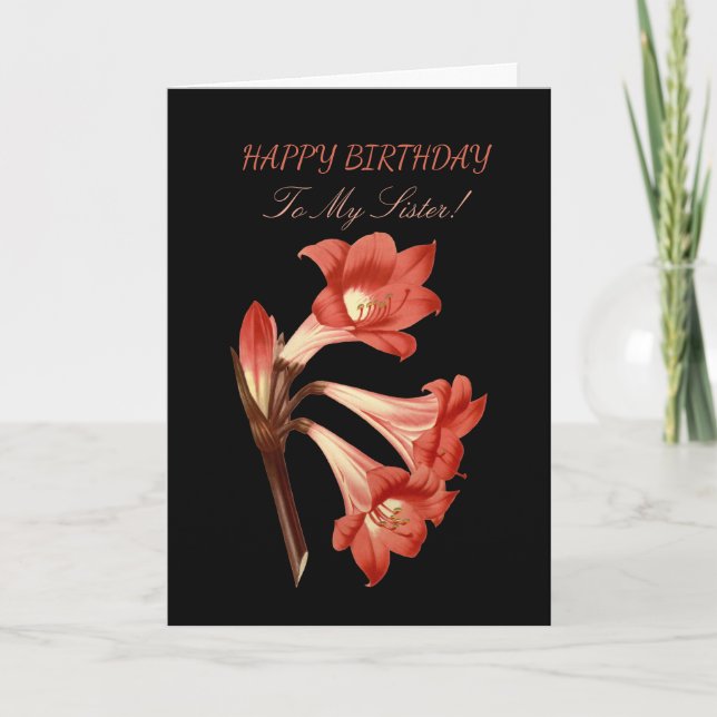 Sister Birthday Coral Belladonna Lily Karte (Vorderseite)