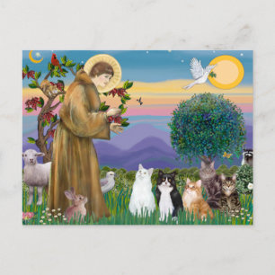 Sister Frances Blessing 5 Katzen Postkarte
