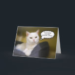 Sister White Cat Birthday Spaß Card Karte<br><div class="desc">Diese Katze sagt es so,  als sei es!</div>