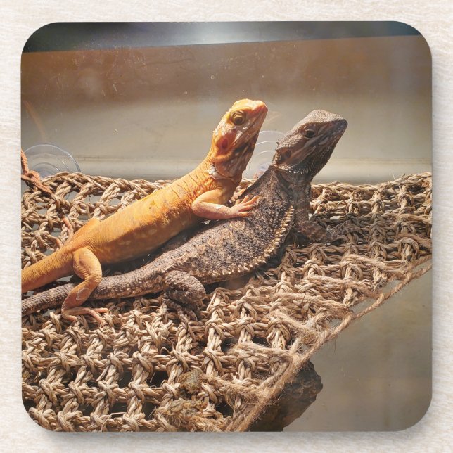 Sisterly Liebe Getränkeuntersetzer (Vorderseite)