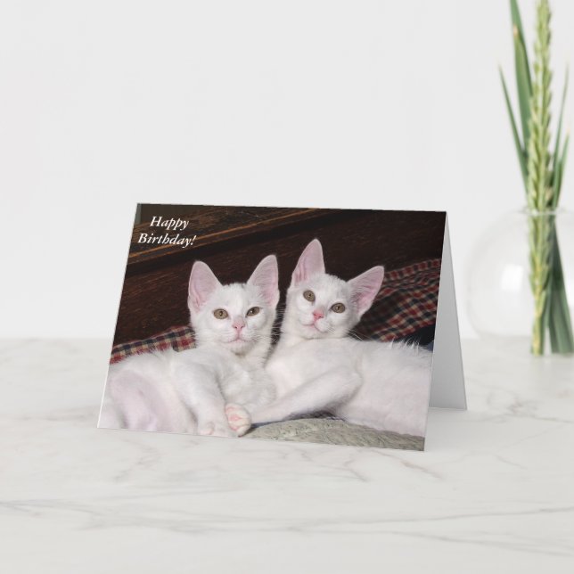 Sisterly Liebe Twins Cat Birthday Card Karte (Vorderseite)