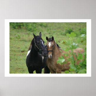 Sisters Liebe Poster