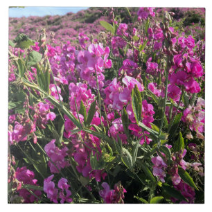 Sisters Rock Staat Park, Oregon Coast Fliese