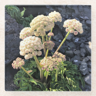 Sisters Rock State Park Oregon Coast Glasuntersetzer