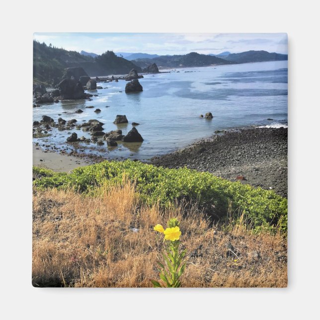 Sisters Rock State Park Oregon Coast Magnet (Vorne)