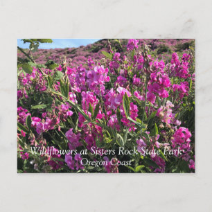 Sisters Rock State Park Oregon Coast Postkarte