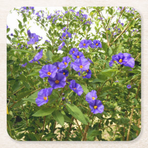 Sisyrinchium Angustifolium Paper Coaster Rechteckiger Pappuntersetzer