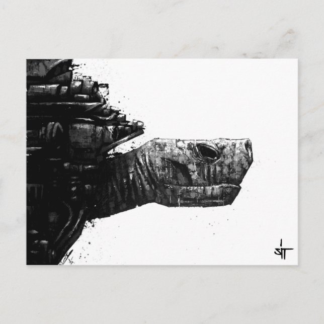 SIT "Turtle" Postkarte (Vorderseite)
