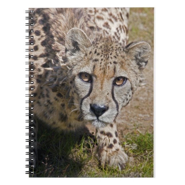 Sita-Notebook Notizblock (Vorderseite)