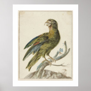 Sittich (1670 - 1719) von Jan Weenix Poster