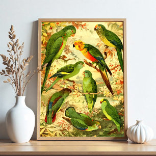 Sittiche Poster