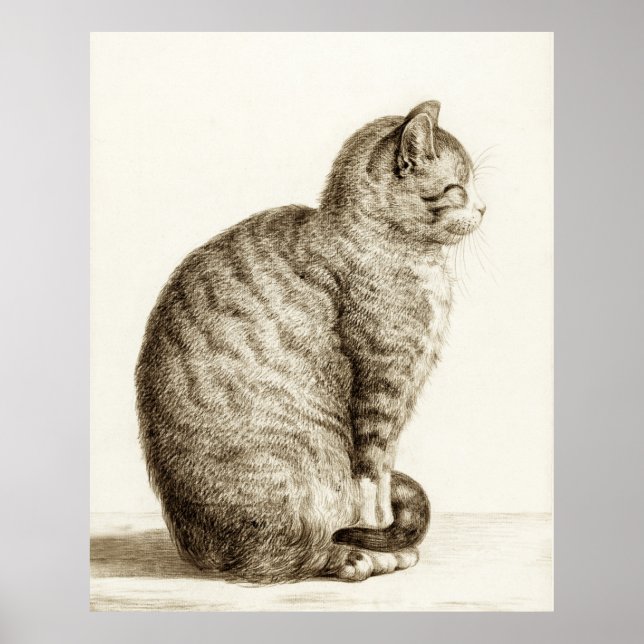 Sitting cat vintage sepia pencil drawing poster (Vorne)