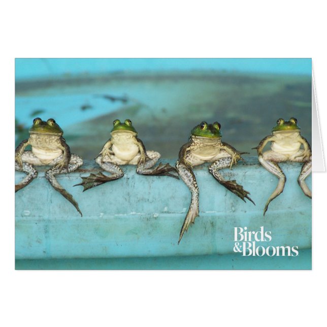 Sitting Frogs (Vorderseite (Horizontal))