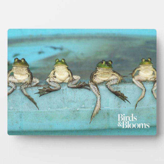 Sitting Frogs Fotoplatte (Vorderseite)