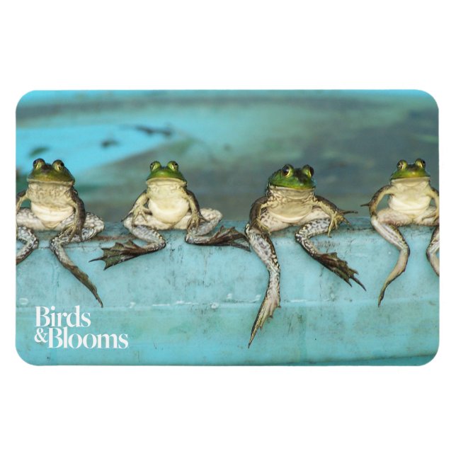 Sitting Frogs Magnet (Horizontal)