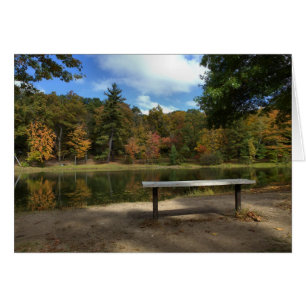 Sitz auf der Bank Rockwell Park Bristol CT