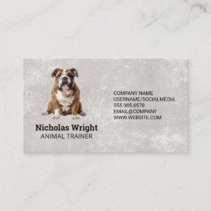 Sitzen   Ausbilder-Groomer-Services Visitenkarte