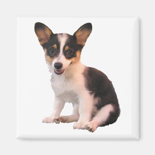 Sitzen Cardigan Welsh Corgi Welppy Magnet (Vorne)