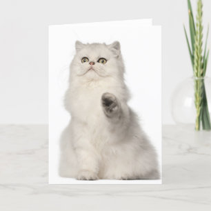 Sitzen der persischen Katze Karte