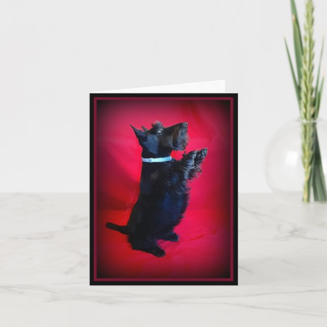 Sitzen Hübsch (Vorderseite)