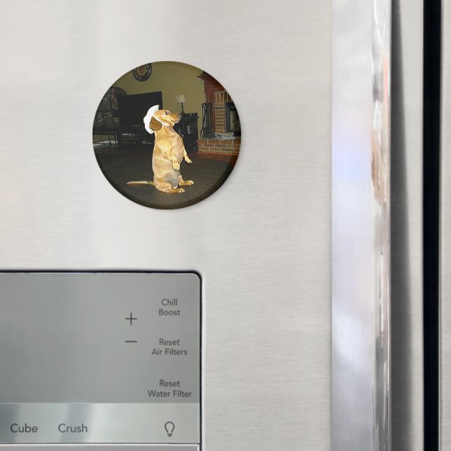 Sitzen Hübsch oder TV-Dackel ansehen Magnet (In Situ (Kühlschrank))