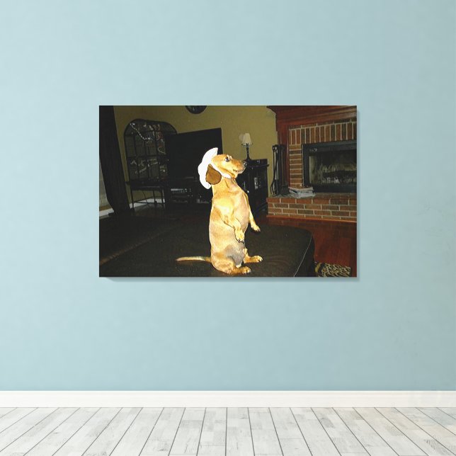 Sitzen Hübsch oder TV-Dackel-Leinwand Leinwanddruck (Insitu (Holzboden))
