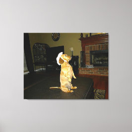 Sitzen Hübsch oder TV-Dackel-Leinwand Leinwanddruck