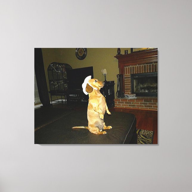 Sitzen Hübsch oder TV-Dackel-Leinwand Leinwanddruck (Vorderseite)