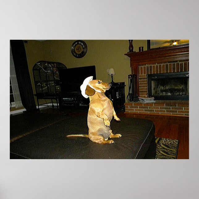 Sitzen Hübsche Dackel Gerahmtes Poster (Vorne)