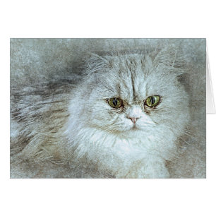 Sitzen Hübsche Kitty   ABSTRAKT   Wasserfarbe