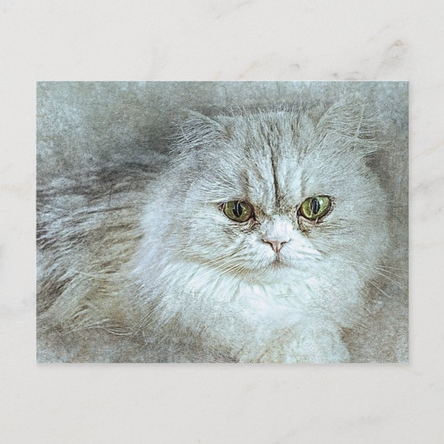 Sitzen Hübsche Kitty | ABSTRAKT | Wasserfarbe Postkarte (Vorderseite)