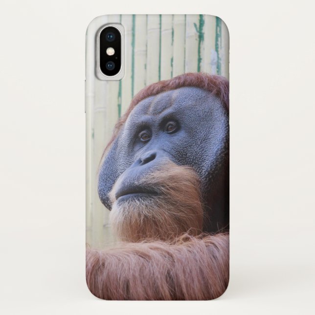 Sitzen Orang Utan... Case-Mate iPhone Hülle (Rückseite)